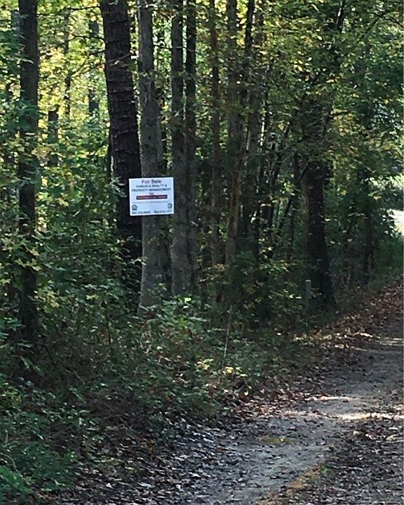 2nd image of 149 York River Rd
