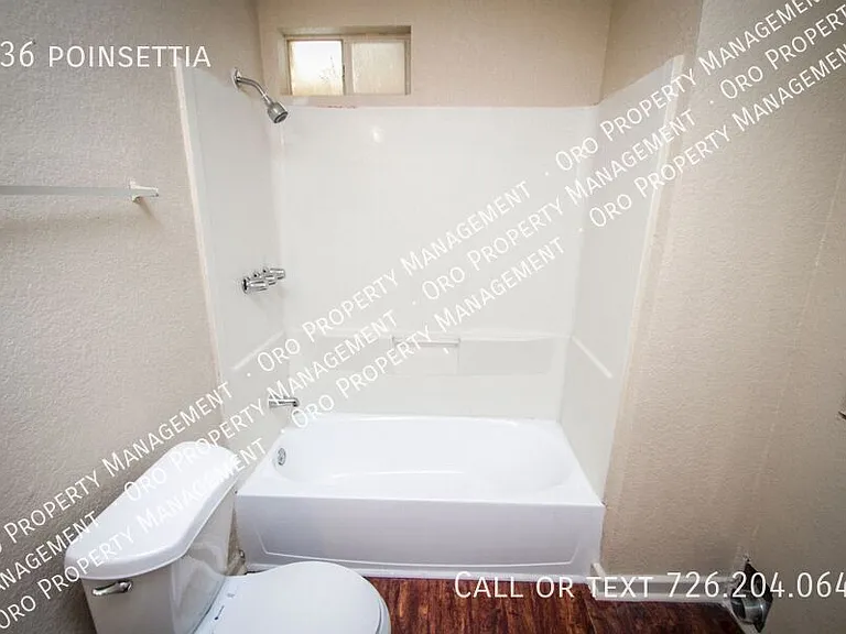 936 Poinsettia — Photo 11