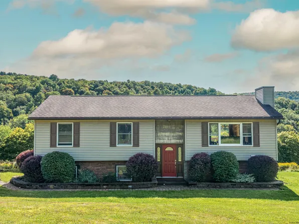330 Brush Hollow, Bovina, NY 13740