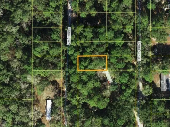 Xx Lm St, Crawfordville, FL 32327