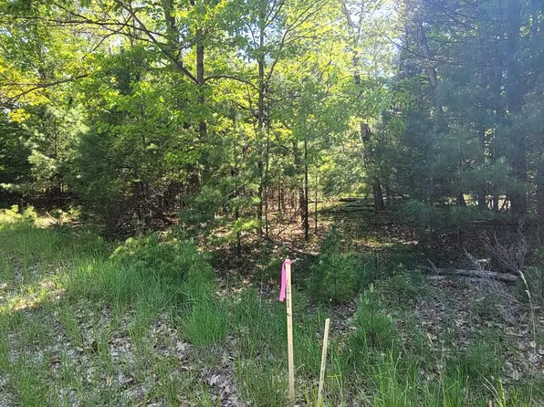 Ivanhoe Dr Lot 1, Onekama, MI 49675
