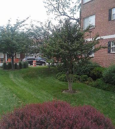 4th image of 820 S Washington St APT B225