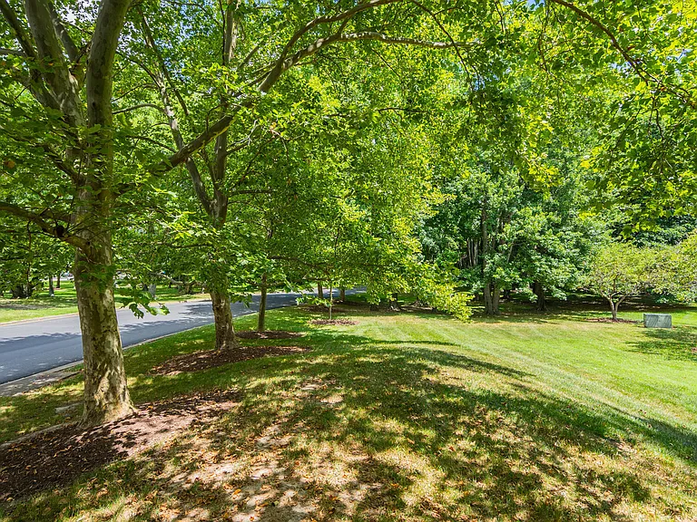Hunters Woods — Photo 23