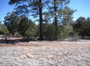 2181 Rimview Trl, Overgaard, AZ 85933