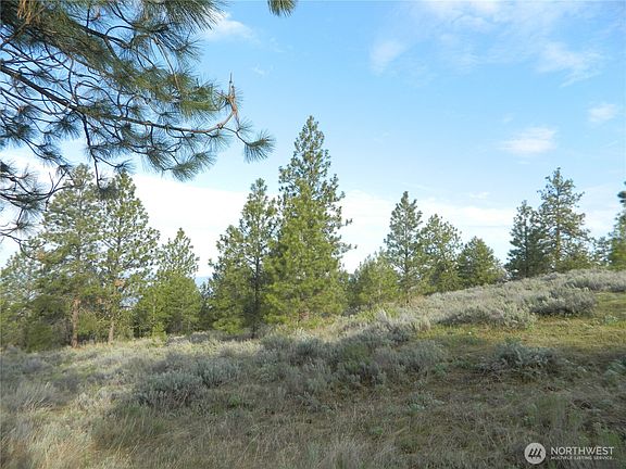2nd image of 0 TBD Rehmke Road
