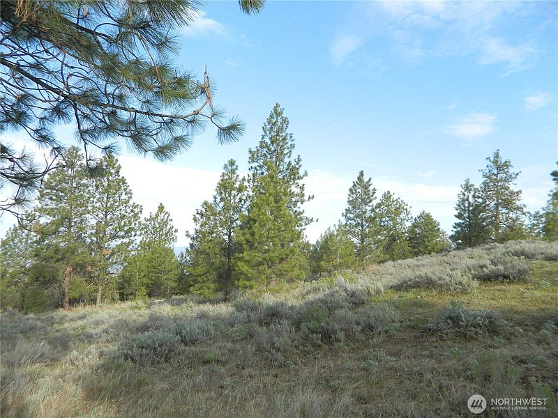 2nd image of 0 TBD Rehmke Road