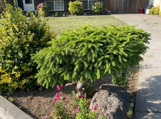 4208 Bell Ave #A, Yakima, WA 98908