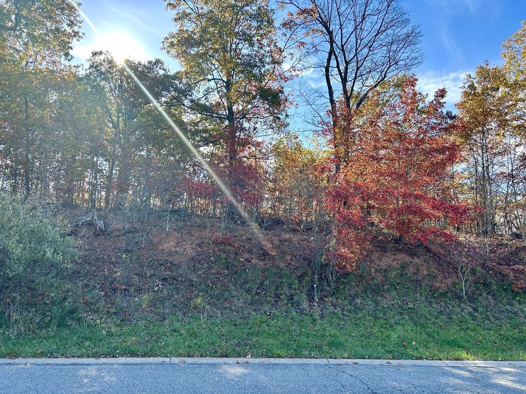Real estate listing image
