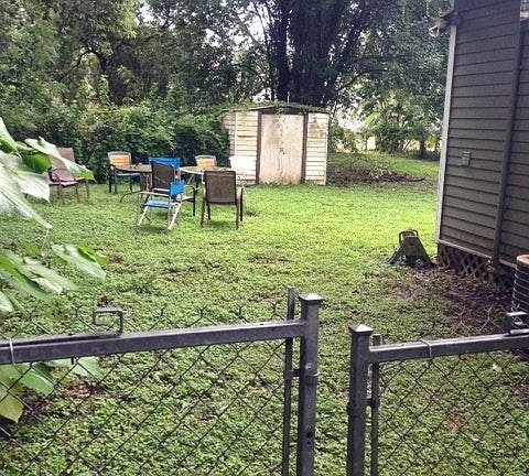 Back yard