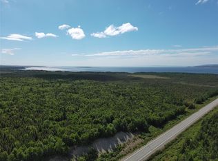 0 Main LOT 1, Barachois Brook, NL A0N