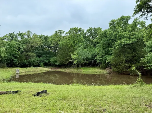 Tbd County Road 203, Collinsville, TX 76233