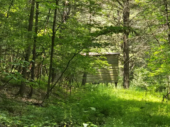 697 Snow Rd, Sayre, PA 18840