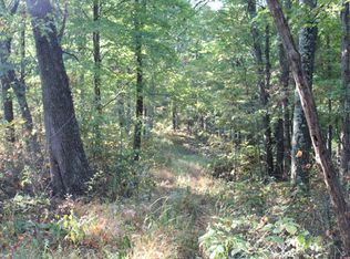 11/2 Big Run Rd, Middlebourne, WV 26149