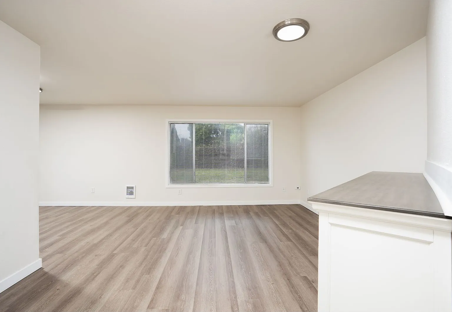 Nowak 504 — Photo 2