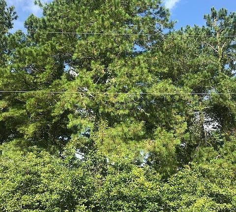 2nd image of TBD Breezy Banks Road LOT 7,8,9