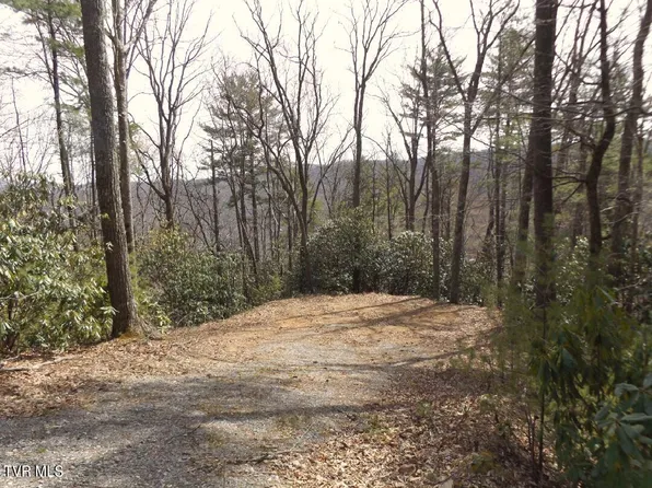 704 Heartwood Ln Lot 55, Butler, TN 37640