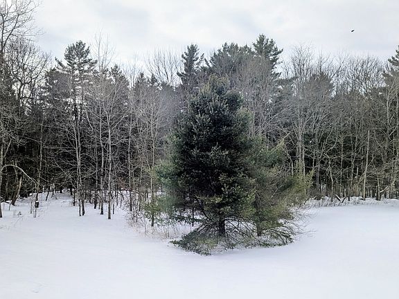 View from the bedroom
