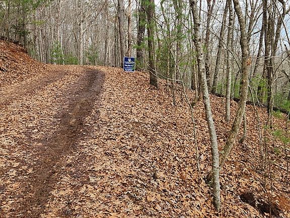 5th image of 13 Mangums Trl