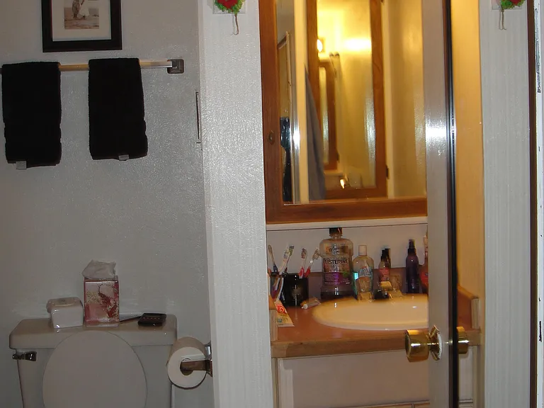 28709 Buffalo Park Rd — Photo 5