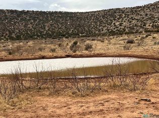 16 County Road C56a, Trementina, NM 88439