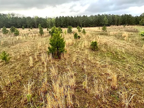 7149 Butler Nursery Rd, Fayetteville, NC 28306