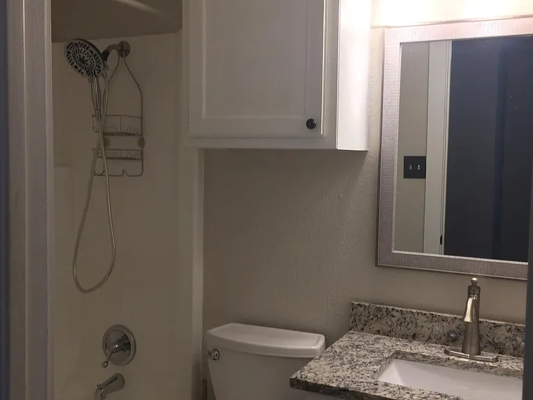#1 Bedroom features private bath with tub/shower. Granite sink with medicine cabinet. Updated faucet and light fixture, walk-in closet and additional storage closet (see picture).