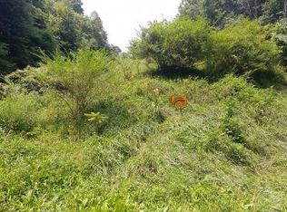 190 Long Hollow Rd, Elizabethton, TN 37643