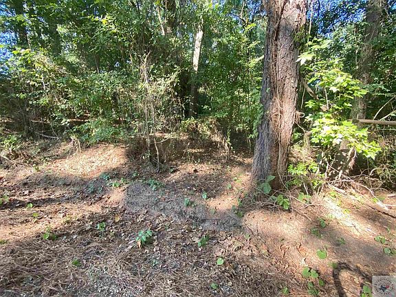 5th image of 21 Dunham Dr