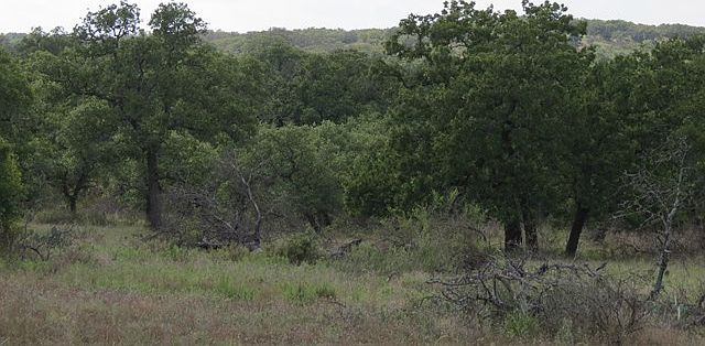 1st image of 0 E State Highway 71
