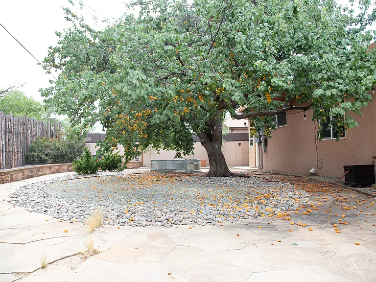 809 Rio Vista St — Photo 19