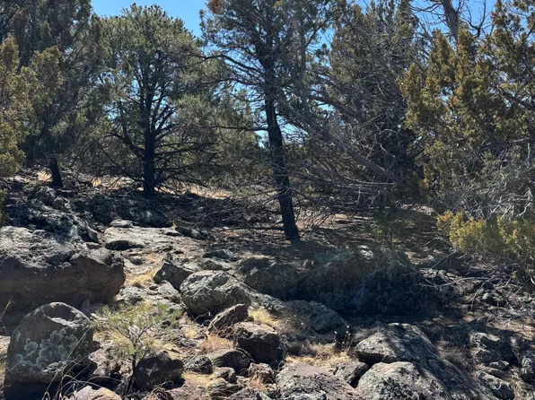 239 Geronimo Dr, Concho, AZ 85924