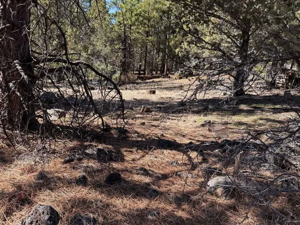 Pike Brewster Dr, Alturas, CA 96101