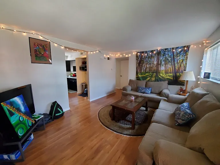 3720 Vance St #3720 — Photo 4