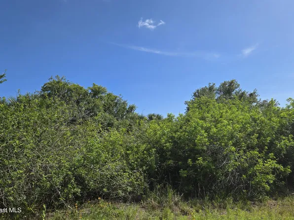 321 Buckskin St, Palm Bay, FL 32909
