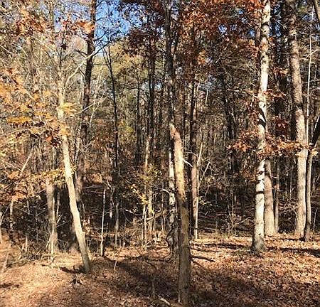 5th image of 500 Pigeon Creek Dr