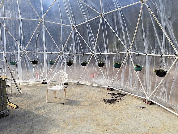 Greenhouse with strawberries
