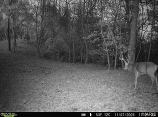 0 Salt Spring Rd, Hardin, IL 62047