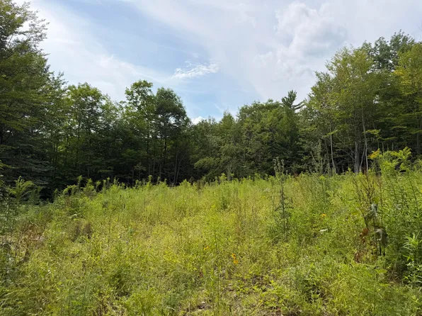 Lot 60&116 Plaisted Road, Jay, ME 04239