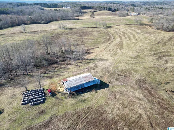 682 County Road 832 #0, Logan, AL 35098
