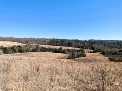 Turner Hill Rd, Mosheim, TN, 37818