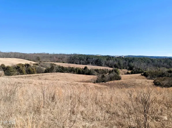 Turner Hill Rd, Mosheim, TN 37818