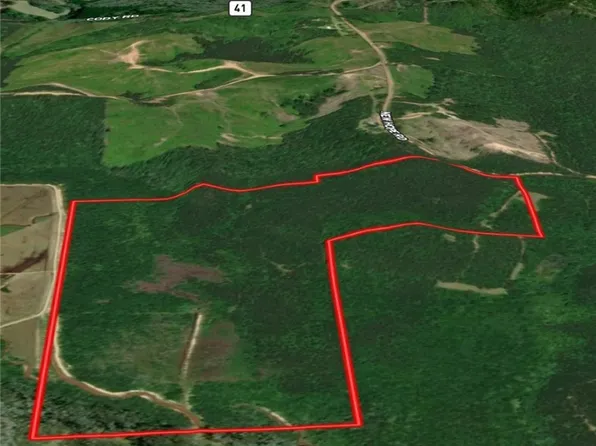 0 New Hope Rd, Kennedy, AL 35574