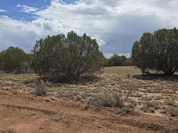 4979 W Tharp Rd, Snowflake, AZ 85937