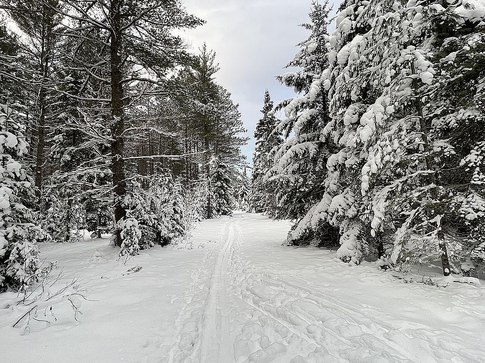 2nd image of 88 Jacobs Rd