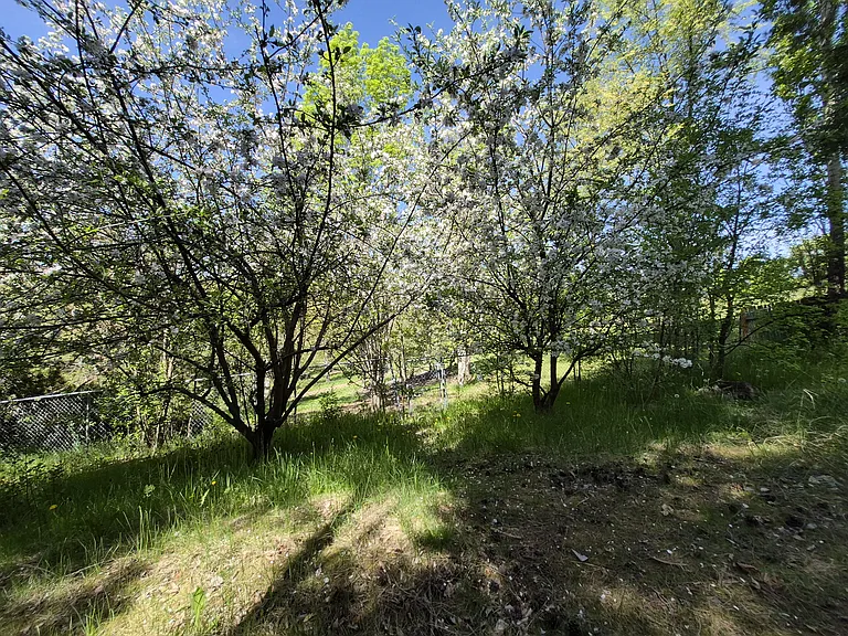 1431 Alpowa Ave — Photo 5
