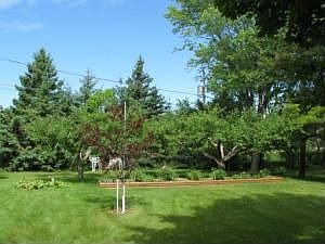 3rd image of 602 Mulberry Dr W
