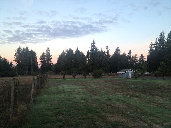 East view from back yard