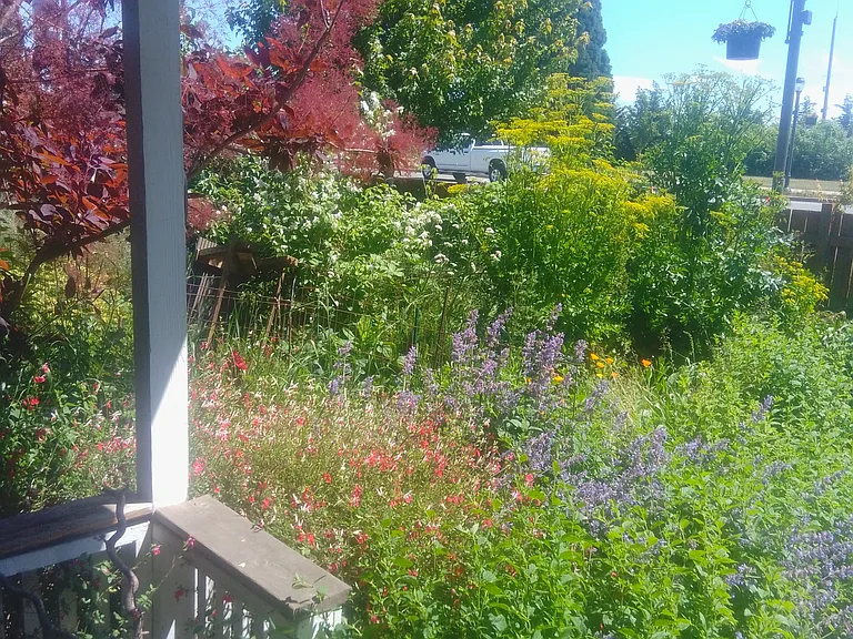 front porch looking into the garden
