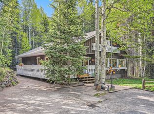 118 Moss Ln, Dumont, CO 80436
