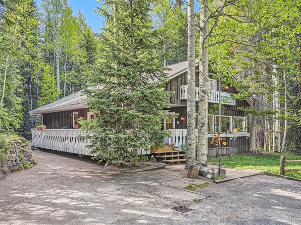 118 Moss Lane, Dumont, CO 80436